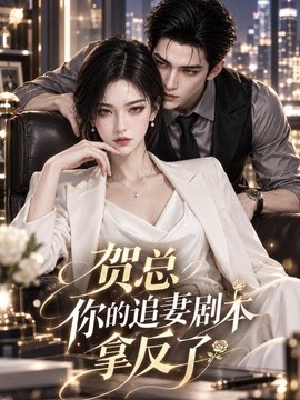 贺总，你的追妻剧本拿反了