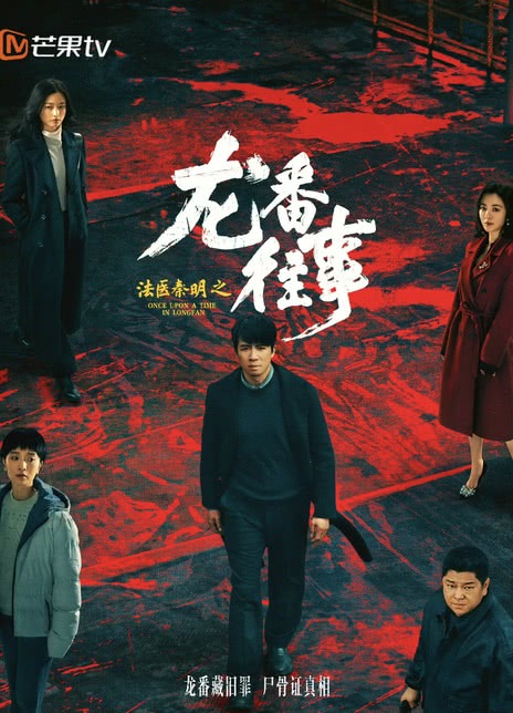 法医秦明之龙番往事