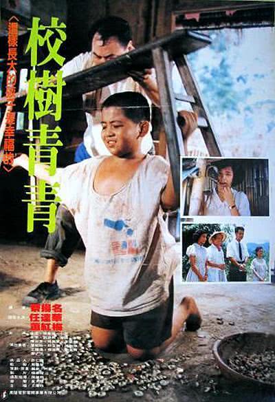 青青校树